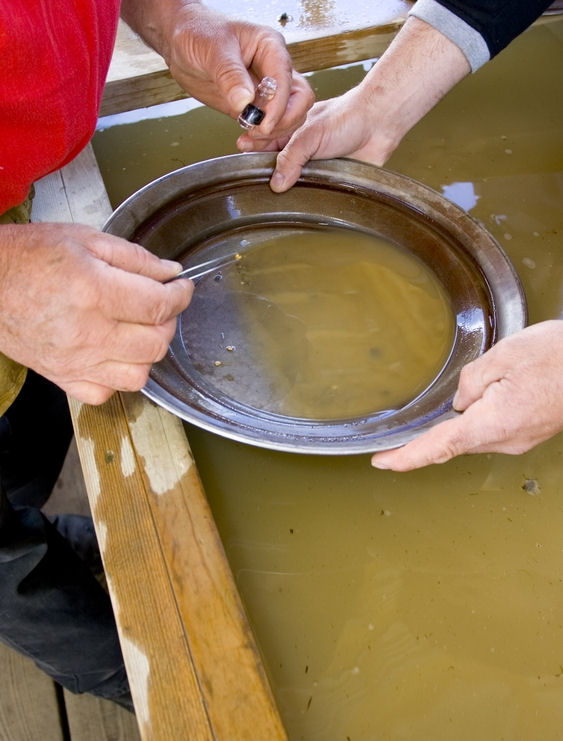 Gold Panning Adventure